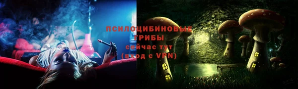 марки nbome Богданович