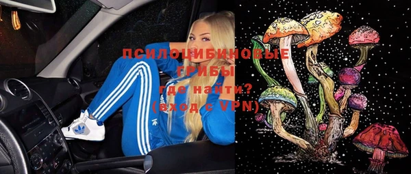 MDMA Богородицк