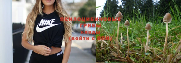 дистиллят марихуана Богородск