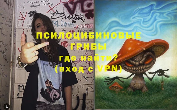 MDMA Богородицк