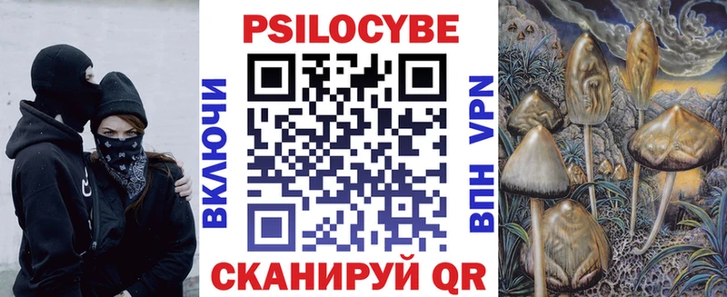 купить наркотики сайты  Среднеуральск  ссылка на мегу как войти  Галлюциногенные грибы Psilocybine cubensis 